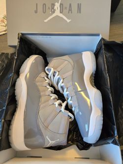 Jordan 11 cool Greys 2021s