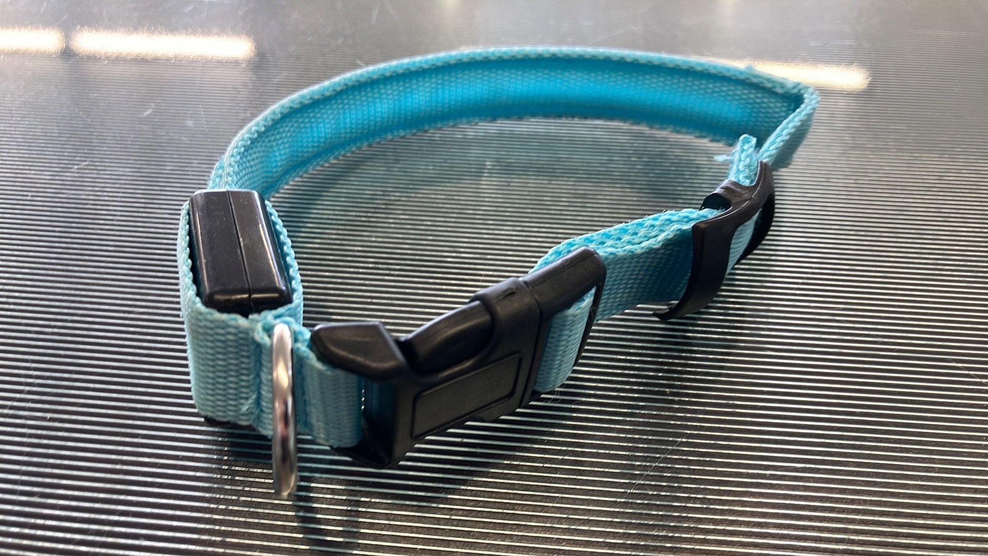 LED Dog Collar