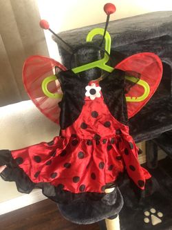 Ladybug Costume