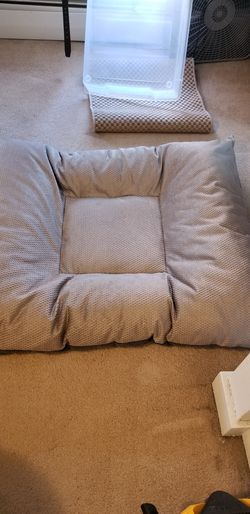 Brand new dog bed large