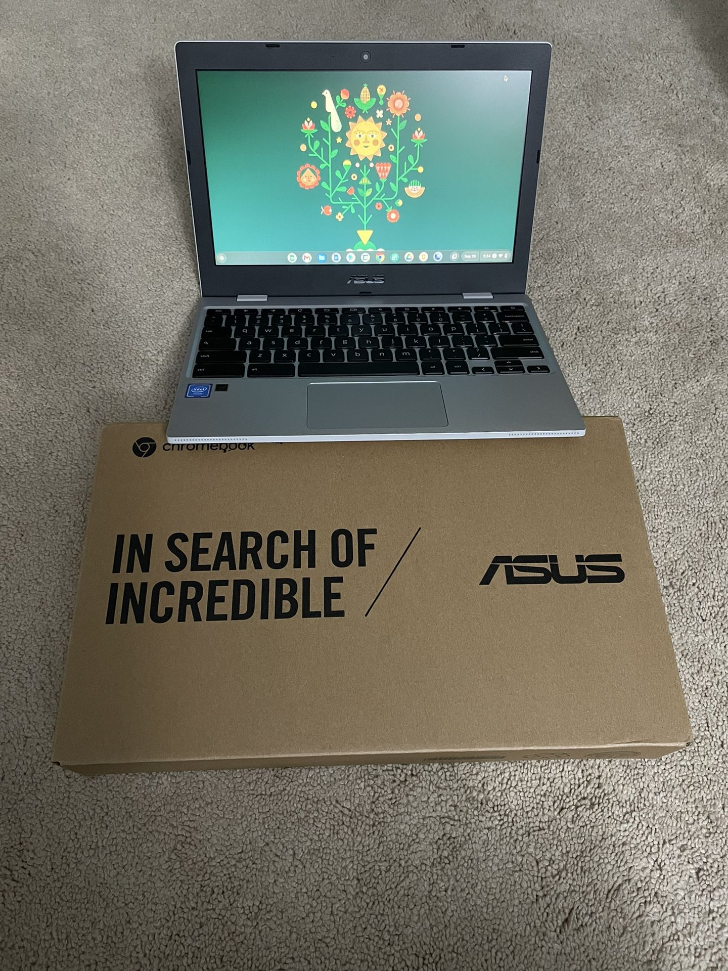 Asus  11.6 Inch Chromebook