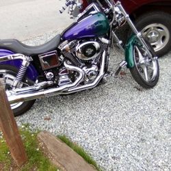 2001 Harley Davidson Dyna