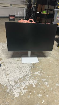 Dell Panel Monitor