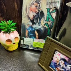 Samurai Deeper Anime DVD