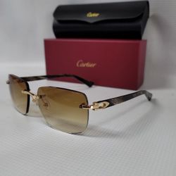 Carrier Motif Sunglasses 