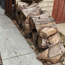 Eucalyptus Wood