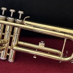 Trumpet with carry case in excellent condition- Low Price. $55