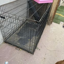 Dog Cages 