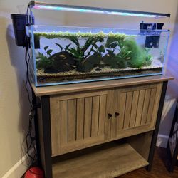 20 Gallon Long Fish Tank With Stand And Twinstar Light 