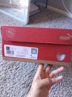 Puma