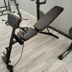 Adjustable Weight Bench ( Bench Only)