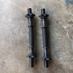 Metal Dumbells W/ Plastic Nuts