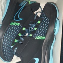Lebron James limited Edition Sneaker