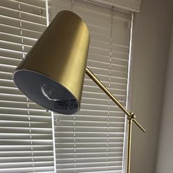 Standing Lamp
