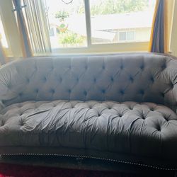 Velvet Sofa& Couches 