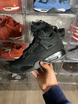 Sz 11 Black Cat 4s (2025)