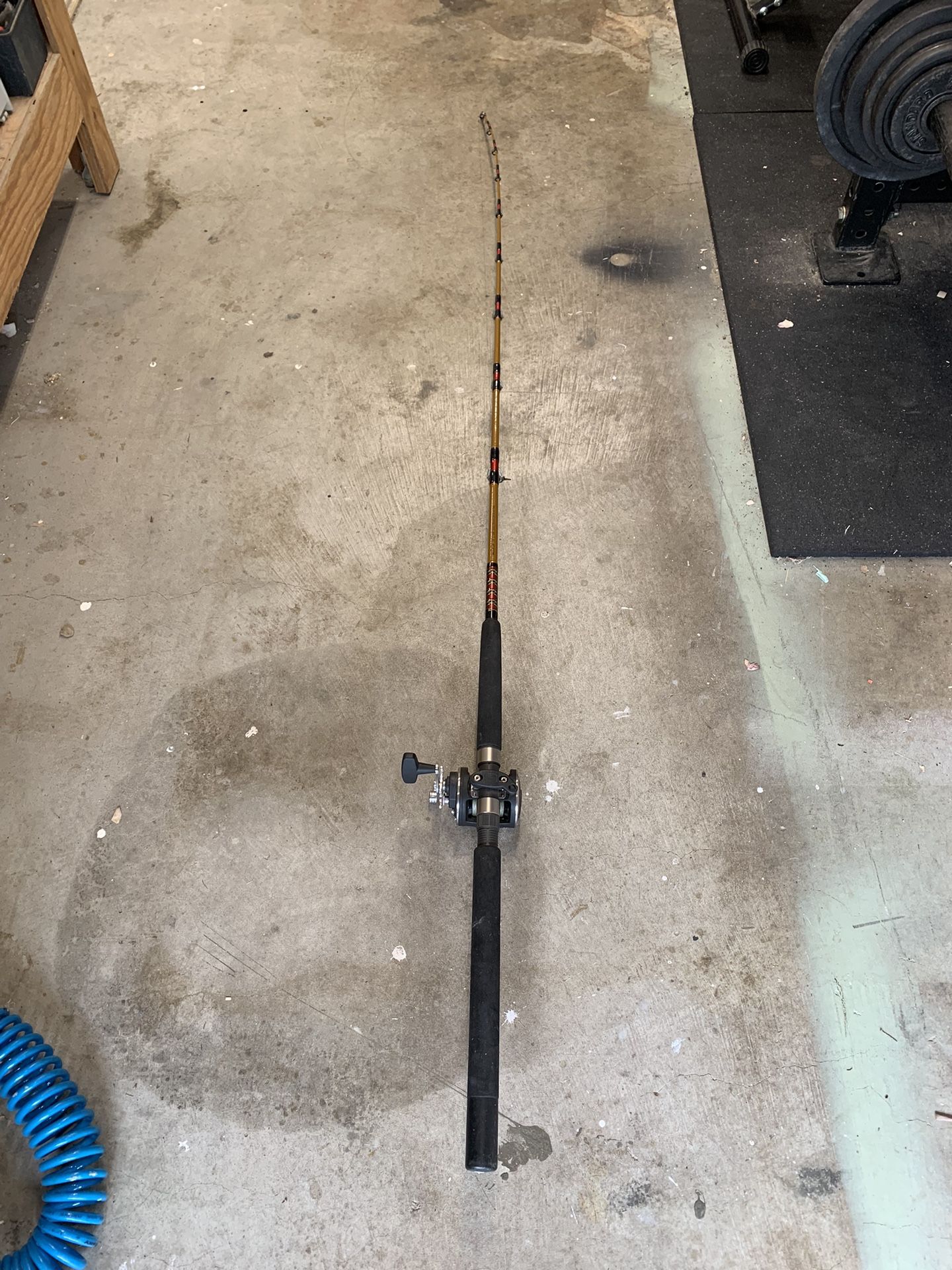 Fishing Rod