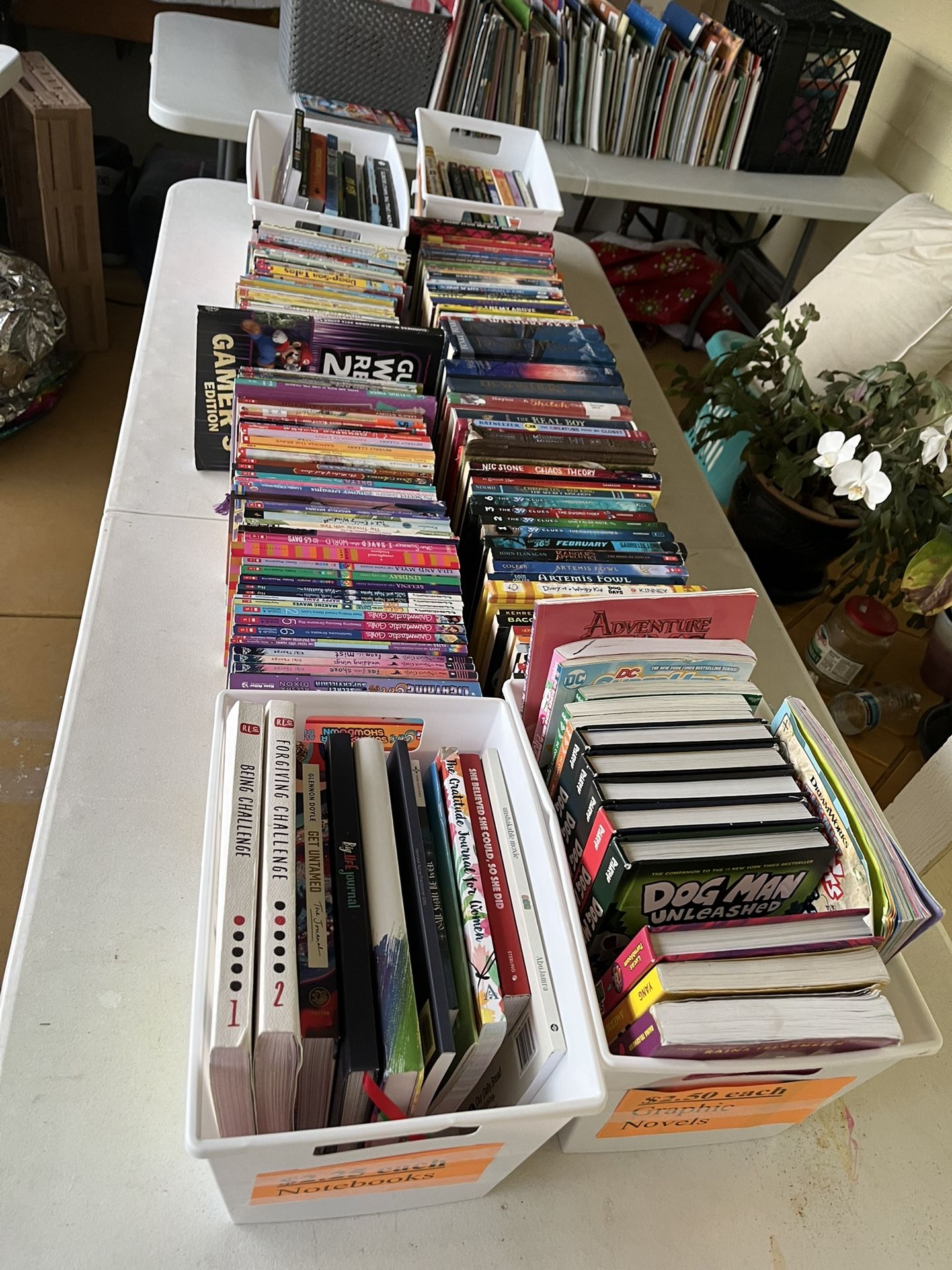 Books For Sale