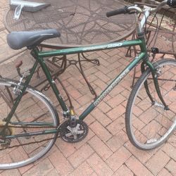 2 Bicicletas Moongosse