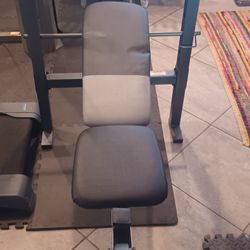 Weight Bench With Leg Extensions 