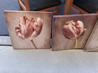 3 Canvas pictures of tulips