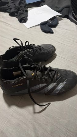 Predator league (academy)