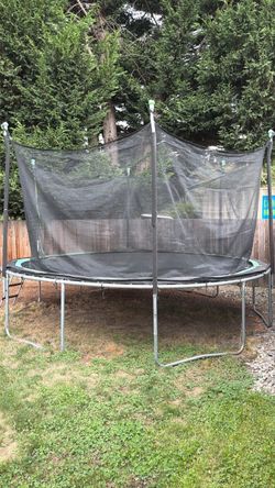 Big trampoline and ladder