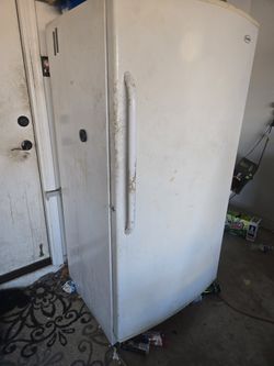 Full Size Stand Up Deep Freeze