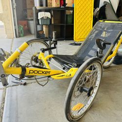 Cattrike Pocket