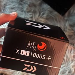 Trout Gear. Fishing Reel 