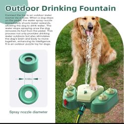 doggy water fountain 