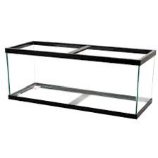 55 Gal Fish Tank