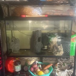 30 Gallon Tank