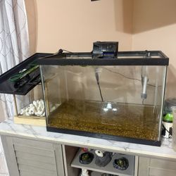 20 Gallon Tank 
