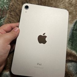 iPad mini 