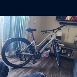 HURLEY J-BAY EBIKE