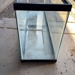 Reptile Aquarium