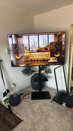 65 inch tv w stand