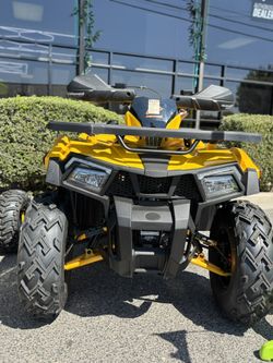 2026 Denago Mudhawk 200 EFI – Golden Hornet