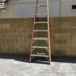 Ladder 10 Ft 