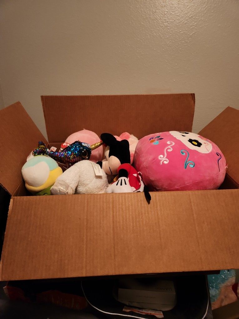 Box Full Of Random Plushies
