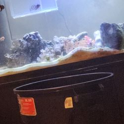 90 Gallon Fish  Tank 