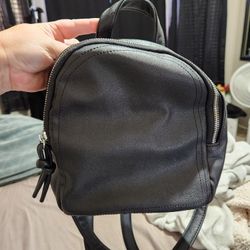 Little Backpack Purse