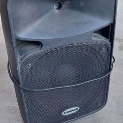 Samson 12" 2 Way Power Speaker 
Great for party  camping 