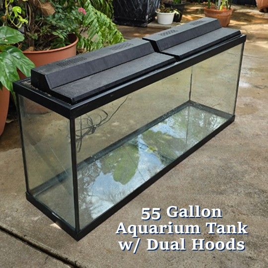 55-Gallon Aquarium Setup – Filter, Sand, Lights, Decorations & More!
