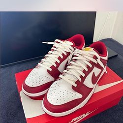 Men Nike Dunks Gym Red