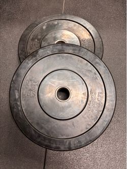 35lb Bumper Plates (Generic)