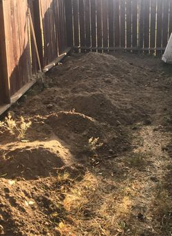 Free dirt