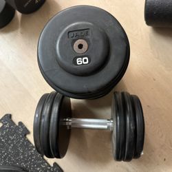 Jade 60lb Rubber coated Dumbbells