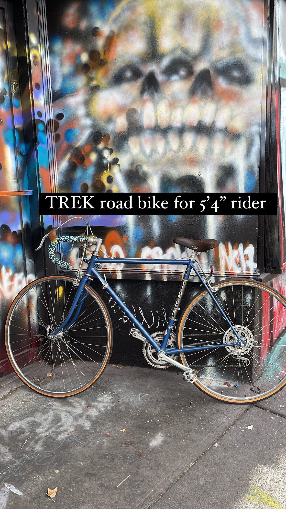 Vintage TREK bike ( 5’4” Rider) 